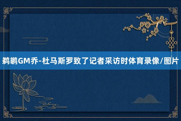 鹈鹕GM乔-杜马斯罗致了记者采访时体育录像/图片