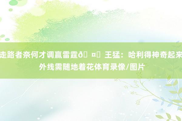 走路者奈何才调赢雷霆🤔王猛：哈利得神奇起来 外线需随地着花体育录像/图片