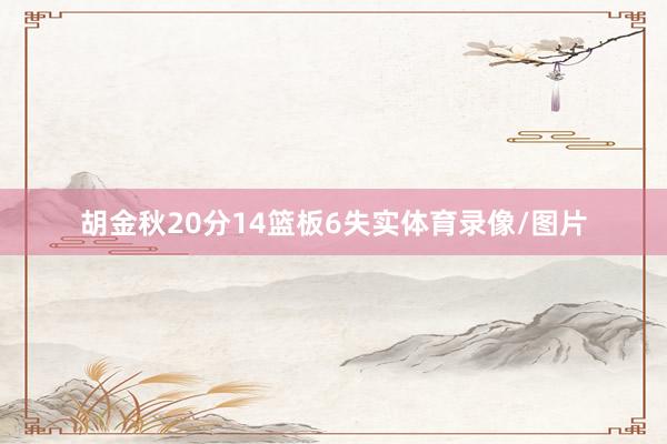 胡金秋20分14篮板6失实体育录像/图片