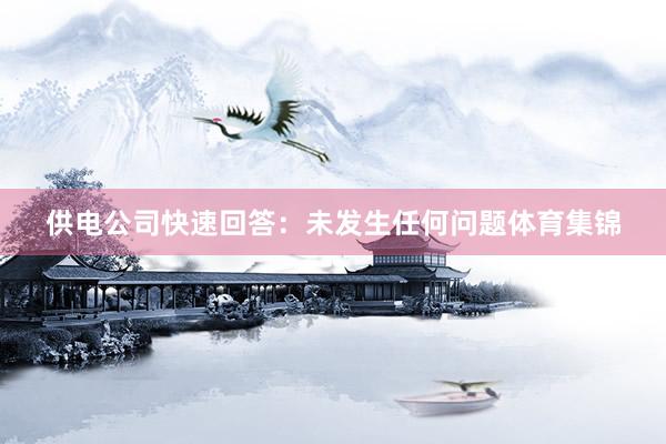 供电公司快速回答：未发生任何问题体育集锦