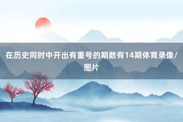 在历史同时中开出有重号的期数有14期体育录像/图片
