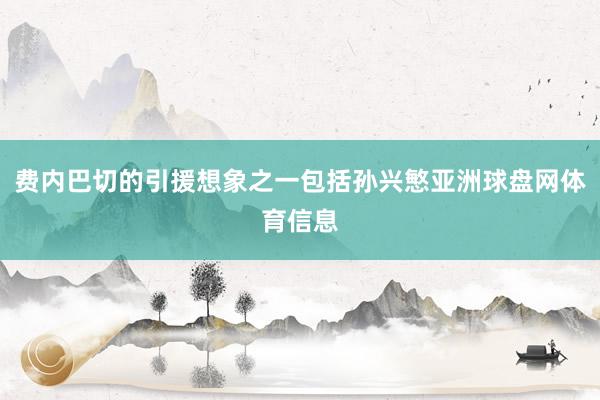 费内巴切的引援想象之一包括孙兴慜亚洲球盘网体育信息
