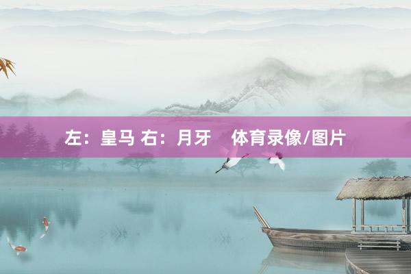 左：皇马 右：月牙    体育录像/图片