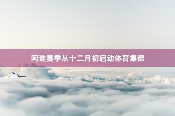 阿谁赛季从十二月初启动体育集锦