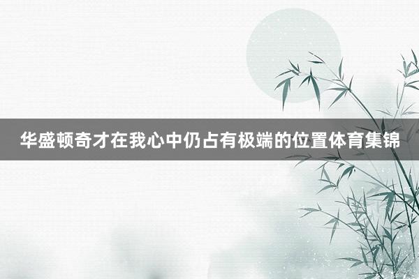 华盛顿奇才在我心中仍占有极端的位置体育集锦