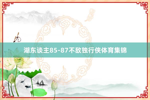 湖东谈主85-87不敌独行侠体育集锦