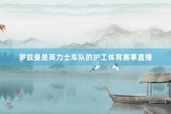 罗兹曼是英力士车队的护工体育赛事直播