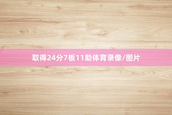 取得24分7板11助体育录像/图片