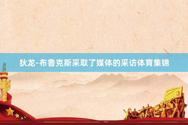 狄龙-布鲁克斯采取了媒体的采访体育集锦