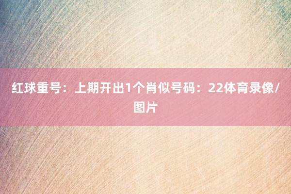 红球重号：上期开出1个肖似号码：22体育录像/图片