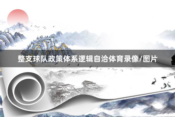 整支球队政策体系逻辑自洽体育录像/图片