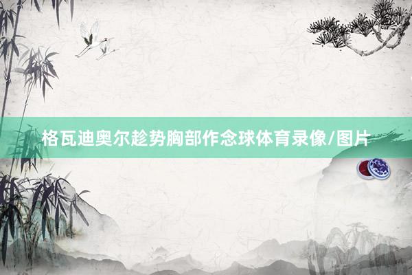 格瓦迪奥尔趁势胸部作念球体育录像/图片
